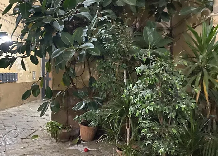 The Paradise House